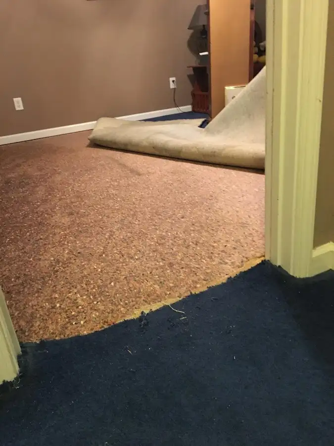 Carpet pad removal revealing water damage during Water Mitigation Services in Streator